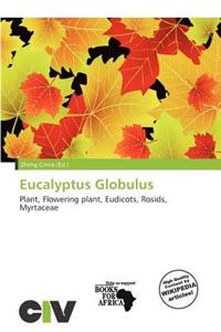 Eucalyptus Globulus