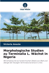 Morphologische Studien zu Terminalia L. Wächst in Nigeria