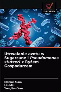 Utrwalanie azotu w Sugarcane i Pseudomonas stutzeri z Ry&#380;em Gospodarzem