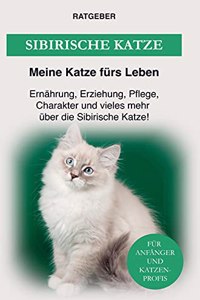 Sibirische Katzenrasse: Erziehung, Ernahrung, Pflege, Charakter und einiges mehr uber die Sibirische Katze!