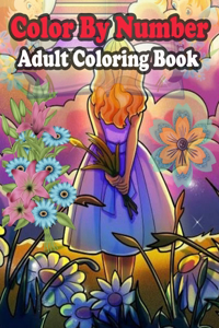 Color By Number Adult Coloring Book