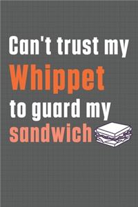 Can't trust my Whippet to guard my sandwich