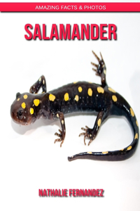 Salamander