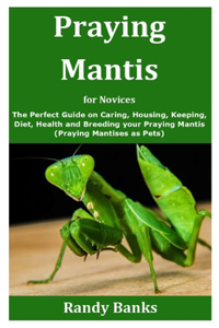 Praying Mantis for Novices