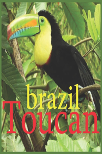 toucan