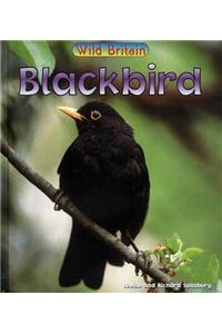 Wild Britain: Blackbird Paperback
