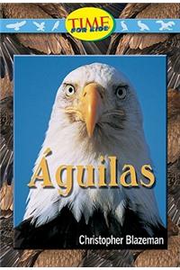 Aguilas