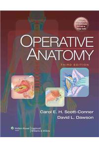 Operative Anatomy