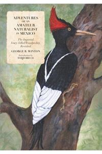 Adventures of an Amateur Naturalist in Mexico