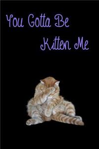 You Gotta Be Kitten Me