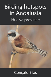 Birding hotspots in Andalusia