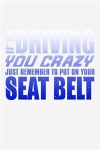 If Im Driving You Crazy Just Remember To Put On Your Seat Belt