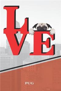 Pug