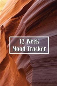 12 Week Mood Tracker