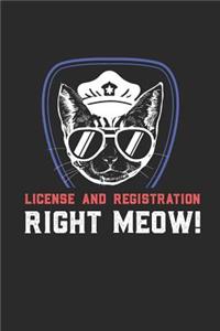 License and Registration Right Meow
