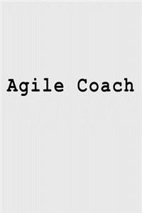 Agile Coach