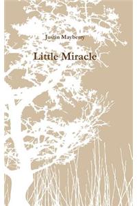 Little Miracle