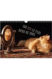 Qui Est Le Plus Beau De Tous 2018