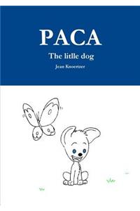 PACA The litlle dog