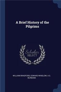 A Brief History of the Pilgrims