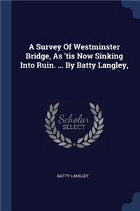 Survey Of Westminster Bridge, As 'tis Now Sinking Into Ruin. ... By Batty Langley,