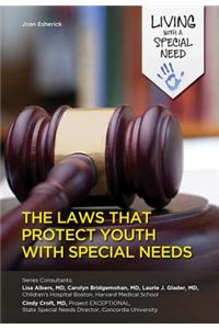 The Laws That Protect Youth with Special Needs