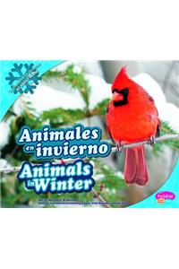 Animales en Invierno/Animals In Winter