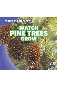 Watch Pine Trees Grow