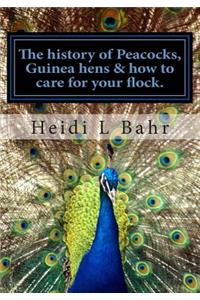 The history of Peacocks, Guinea Hens & how to care for your flock.