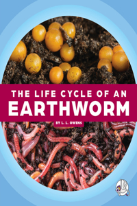 Life Cycle of an Earthworm