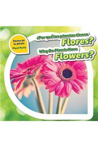 ¿Por Qué Las Plantas Tienen Flores? / Why Do Plants Have Flowers?