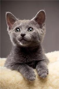 Russian Blue Cat Notebook & Journal. Productivity Work Planner & Idea Notepad