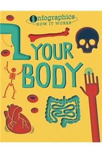 Your Body