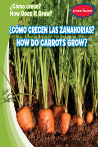 ¿Cómo Crecen Las Zanahorias? / How Do Carrots Grow?