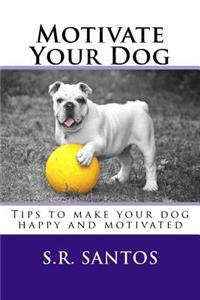 Motivate Your Dog