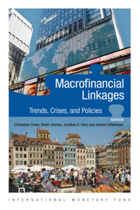 Macrofinancial Linkages