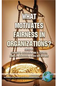 What Motivates Fairness in Organizations (Hc)