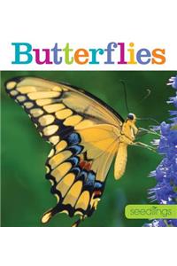 Seedlings: Butterflies