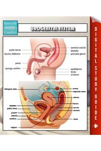 Urogenital System Speedy Study Guides