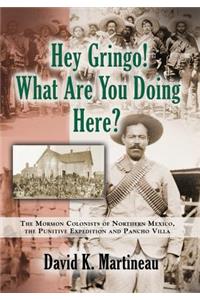 Hey Gringo! What Are You Doing Here?