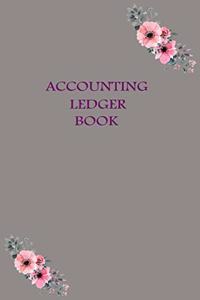 Accounting Ledger