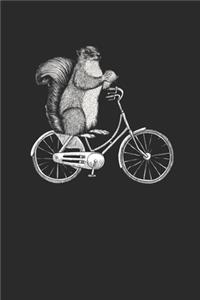 Squirrel In Bicycle