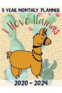 5 Year Monthly Planner 2020-2024 - I llove llamas