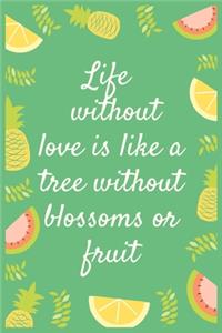Life without love is like a tree without blossoms or fruit