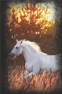Journal