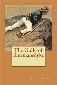 The Gully of Bluemansdyke