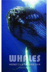 Whales Weekly 5 X 8 Planner 2019