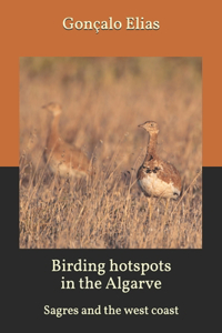 Birding hotspots in the Algarve