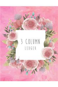 3 Column Ledger