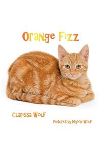 Orange Fizz